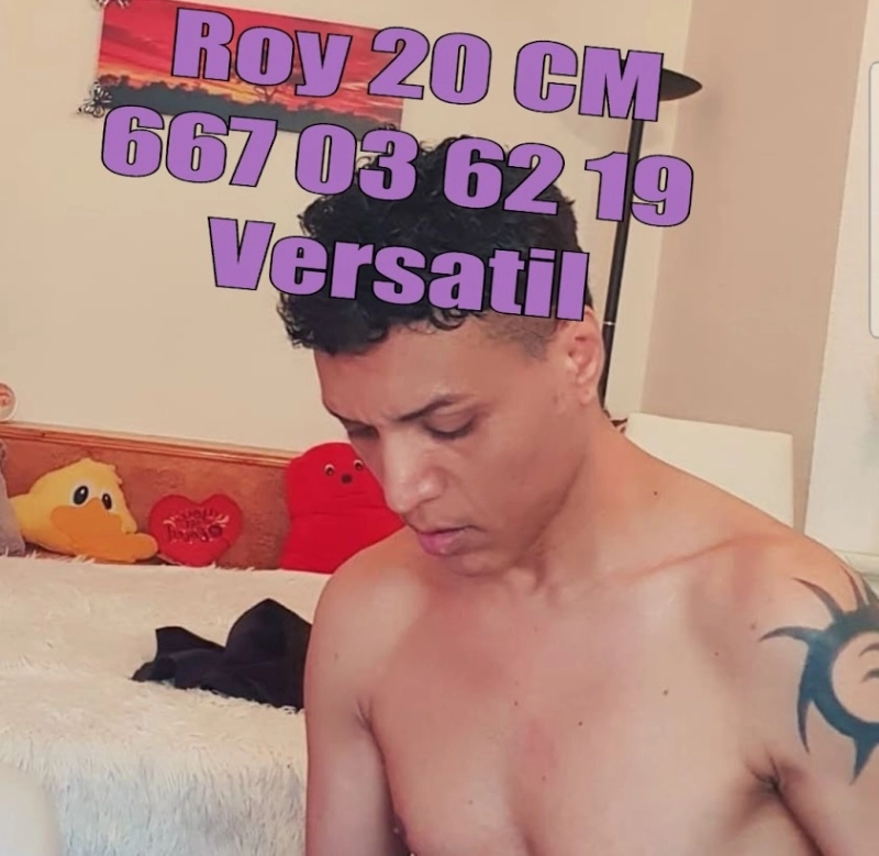 Roy  ROY 20CM VERSATIL LATINO MASAJ SEXO SERVICIO COMPLETO - 4
