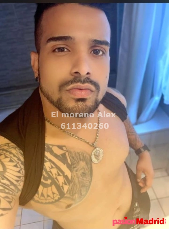 MACHO  VENEZOLANO DOMINANTE CAÑERO FIESTERO - 3