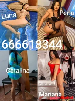 Tus amigas para compartir buenos y gratos momentos 