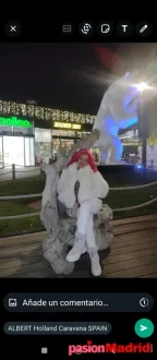 La dama cariñosa de paso por esta ciudad 